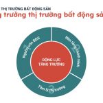 Sẵn sàng cho cuộc đua “bứt tốc” Bất động sản 2024 – 2025